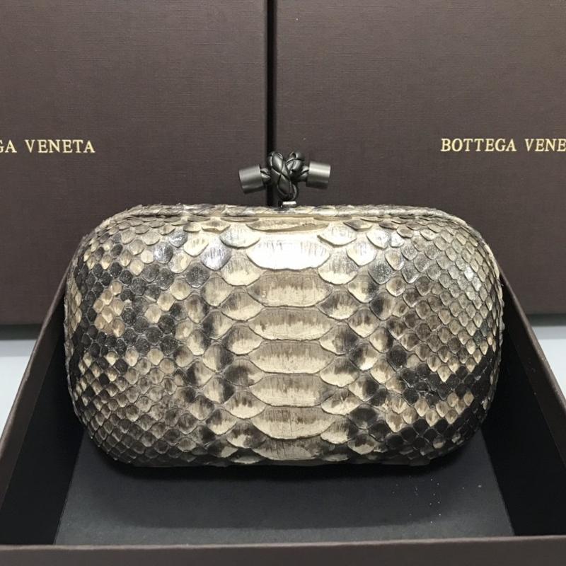 Bottega Veneta Clutches Bags B9602 Snake Skin Eight